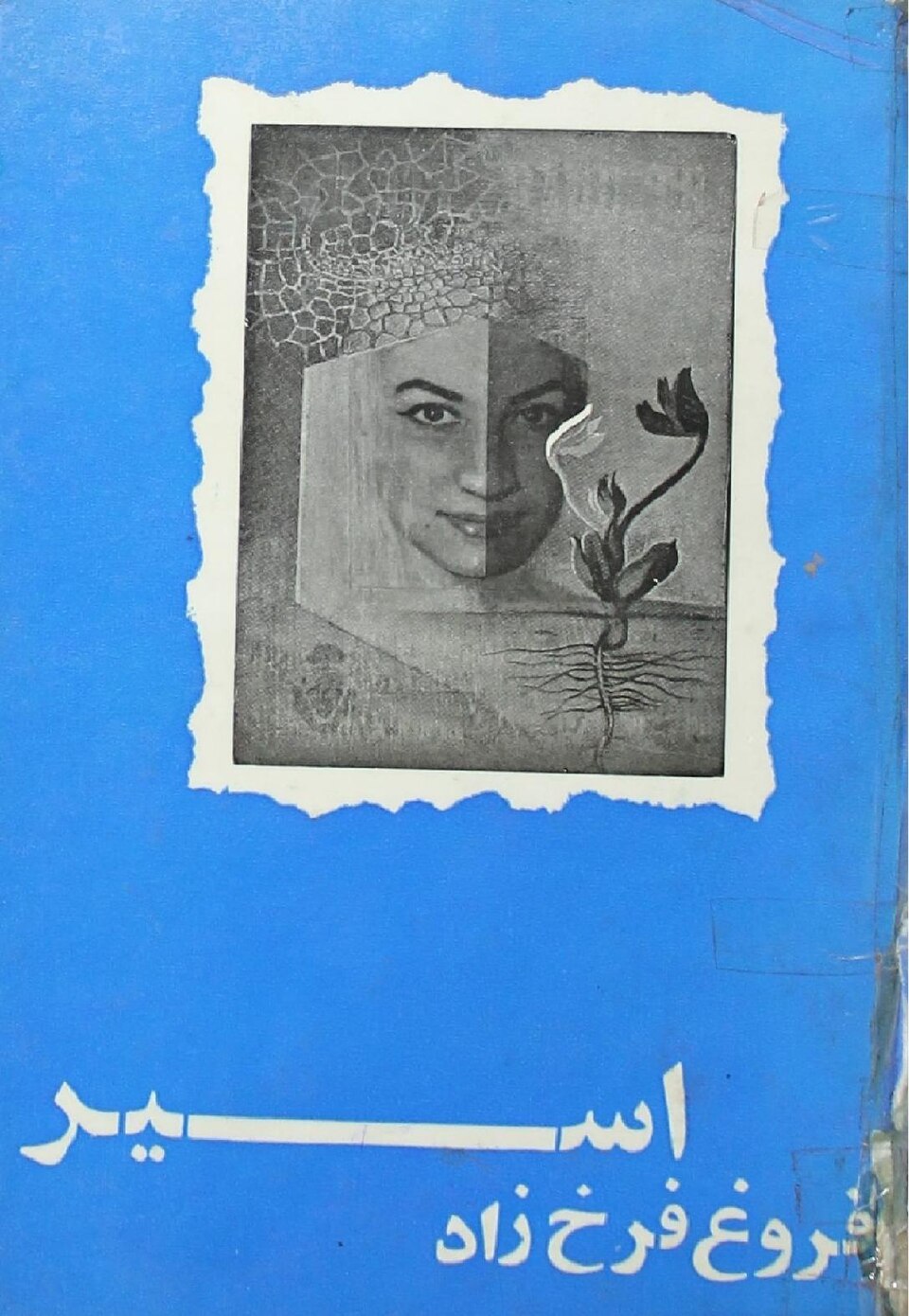 جلد اسیر
